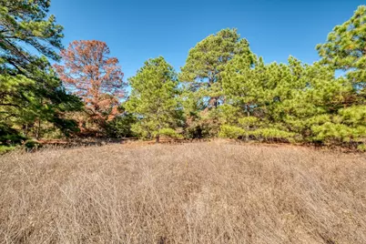 000 Dunbar Rd (Tract 3) Road, McDade, TX 78650 - Photo 11