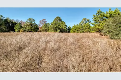 000 Dunbar Rd (Tract 3) Road, McDade, TX 78650 - Photo 7