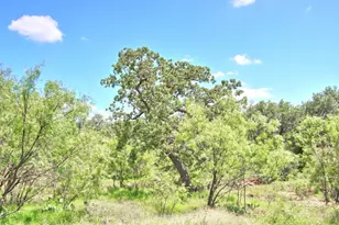 Tbd Cr 110 Rd, Burnet, TX 78611 - Photo 9
