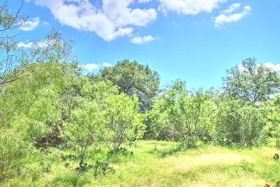 Tbd Cr 110 Road, Burnet, TX 78611 - Photo 7
