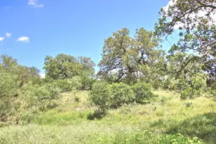 Tbd Cr 110 Rd, Burnet, TX 78611 - Photo 23