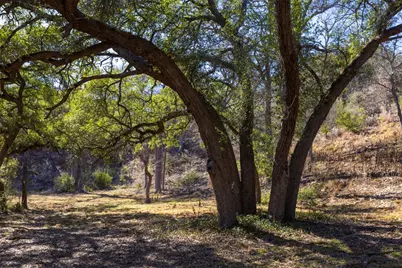 19631 Ranch Road 12, Driftwood, TX 78676 - Photo 25