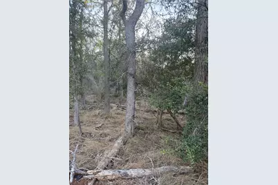 159 Helemano Drive, Bastrop, TX 78602 - Photo 3