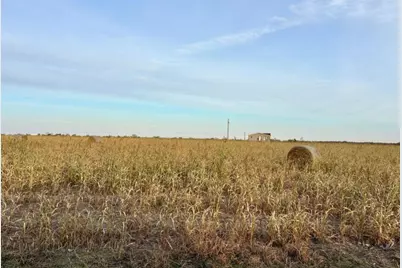 366 County Road 123, Buckholts, TX 76518 - Photo 3