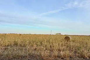 366 Co Rd 123, Buckholts, TX 76518 - Photo 3