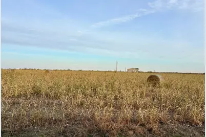 366 County Road 123, Buckholts, TX 76518 - Photo 3