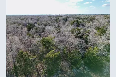 Lot 8 South Old Potato Road, Paige, TX 78659 - Photo 5