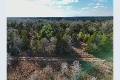 Lot 8 South Old Potato Road, Paige, TX 78659 - Photo 3