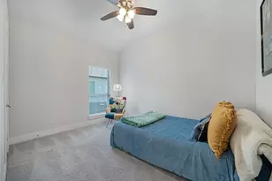 229 Majestic Sage Trail, San Marcos, TX 78666 - Photo 49