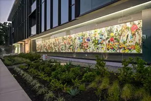 1006 Baylor St, Austin, TX 78703 - Photo 23