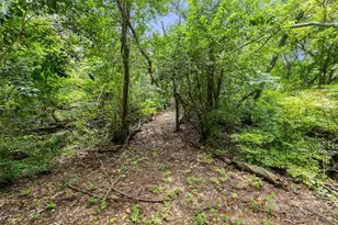3412 Shinoak Dr, Austin, TX 78731 - Photo 39