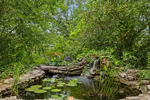3412 Shinoak Dr, Austin, TX 78731 - Photo 37