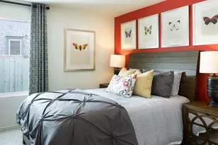 17816 Indigo Bunting Ln, Pflugerville, TX 78660 - Photo 7