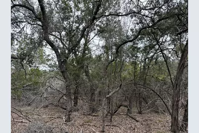 1656 Noble Trail, Canyon Lake, TX 78133 - Photo 13