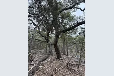 1656 Noble Trail, Canyon Lake, TX 78133 - Photo 11