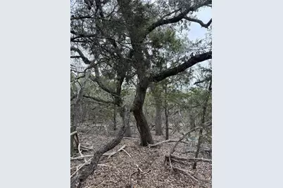 1656 Noble Trail, Canyon Lake, TX 78133 - Photo 11