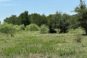 Tract 3D Hwy 95 Hwy, Smithville, TX 78957 - Photo 3