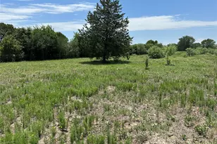 Tract 3D Hwy 95 Hwy, Smithville, TX 78957 - Photo 9