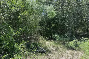 Tract 3D Hwy 95 Hwy, Smithville, TX 78957 - Photo 13