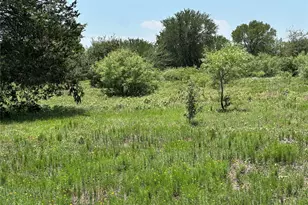 Tract 3D Hwy 95 Hwy, Smithville, TX 78957 - Photo 7