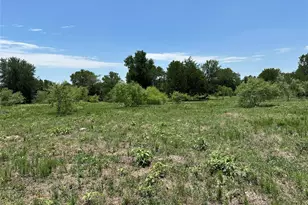 Tract 3D Hwy 95 Hwy, Smithville, TX 78957 - Photo 11