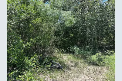 Tract 3D Hwy 95 Highway, Smithville, TX 78957 - Photo 13