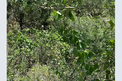 Tract 3D Hwy 95 Highway, Smithville, TX 78957 - Photo 15