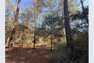 Lot 59 S. Hill Ridge Road, Bastrop, TX 78602 - Photo 9