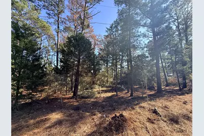 Lot 59 S. Hill Ridge Road, Bastrop, TX 78602 - Photo 11