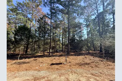 Lot 59 S. Hill Ridge Road, Bastrop, TX 78602 - Photo 1