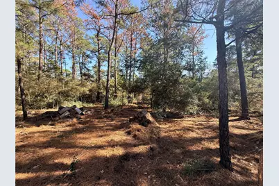 Lot 59 S. Hill Ridge Road, Bastrop, TX 78602 - Photo 5