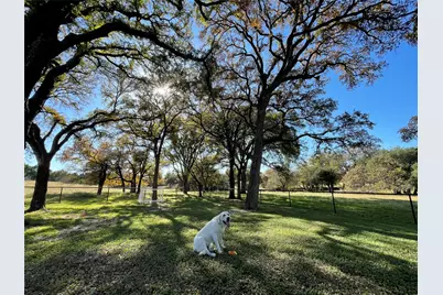 121 Dog Run, Burnet, TX 78611 - Photo 7
