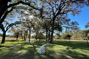 121 Dog Run, Burnet, TX 78611 - Photo 7