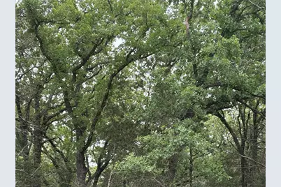 2250 Old Lockhart Road, Plum, TX 78952 - Photo 17