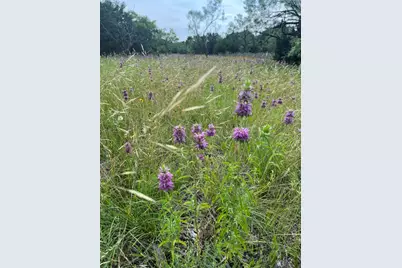 1745 County Road 2773, Lometa, TX 76853 - Photo 11