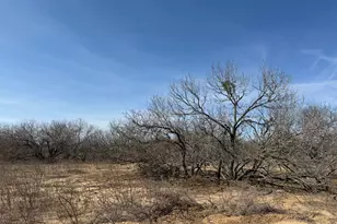 5042 FM 672, Dale, TX 78616 - Photo 5