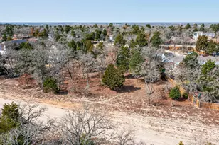 147 SE Jasmine Heights SE, Elgin, TX 78621 - Photo 15