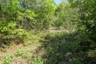 6801 Finklea Cove, Austin, TX 78730 - Photo 17