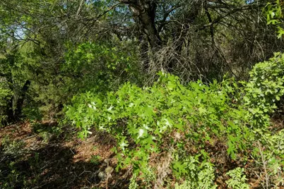 6801 Finklea Cove, Austin, TX 78730 - Photo 13