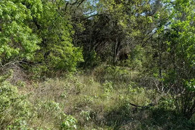 6801 Finklea Cove, Austin, TX 78730 - Photo 21