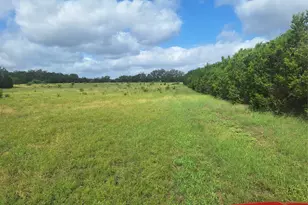 1483 County Road 281 Rd, Leander, TX 78641 - Photo 5