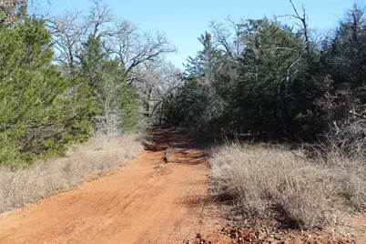 1223 County Road 429, Dime Box, TX 77853 - Photo 3