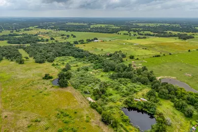 2300 County Road 475, Thrall, TX 76578 - Photo 5
