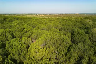 9604 Thaxton Rd, Austin, TX 78747 - Photo 17