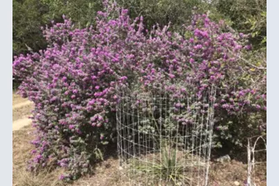 907 Deertrail Drive, San Marcos, TX 78666 - Photo 37