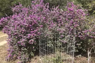 907 Deertrail Dr, San Marcos, TX 78666 - Photo 37