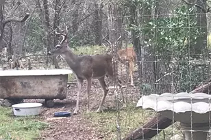 907 Deertrail Dr, San Marcos, TX 78666 - Photo 35