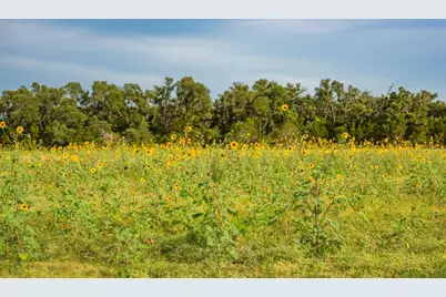00 County Road 284, Liberty Hill, TX 78642 - Photo 19