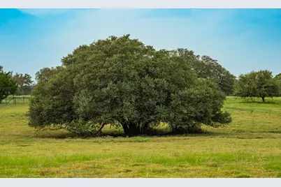 00 County Road 284, Liberty Hill, TX 78642 - Photo 9