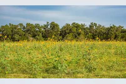 00 County Road 284, Liberty Hill, TX 78642 - Photo 19